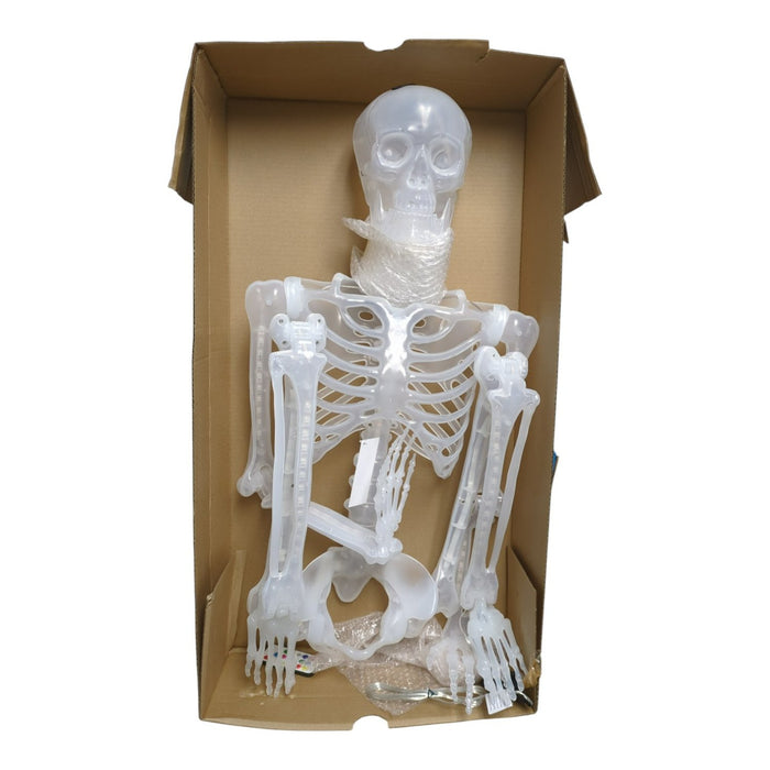 Member's Mark 5' Pre-Lit Color Changing Poseable Skeleton, White