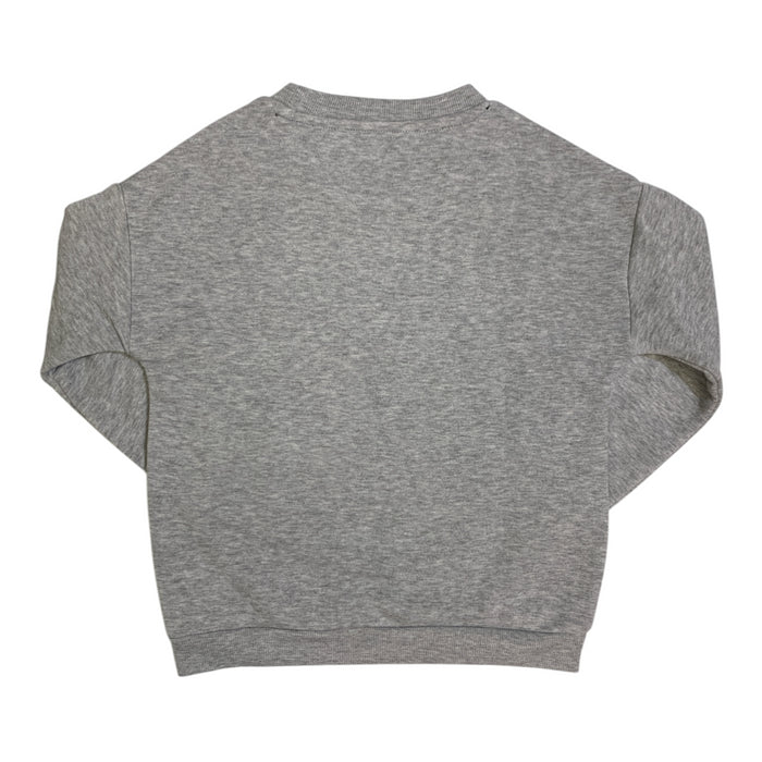 Boy's Long Sleeve Licensed Character Soft Fleece Crewneck Sweatshirt