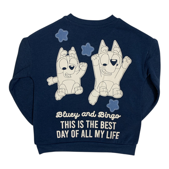 Boy's Long Sleeve Licensed Character Soft Fleece Crewneck Sweatshirt