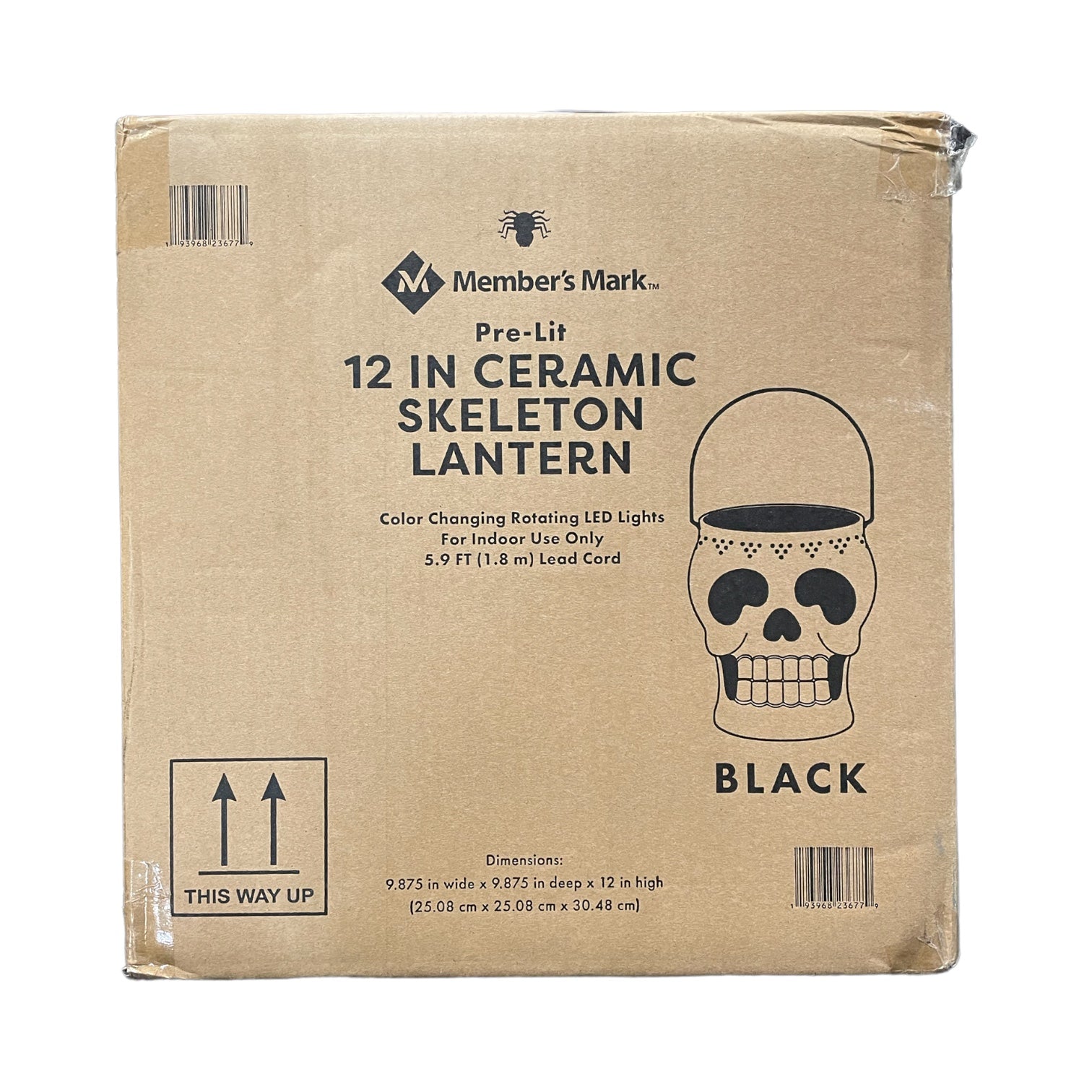 Member's Mark 12" Prelit Ceramic Skeleton Lantern, Black Ewirelessgear