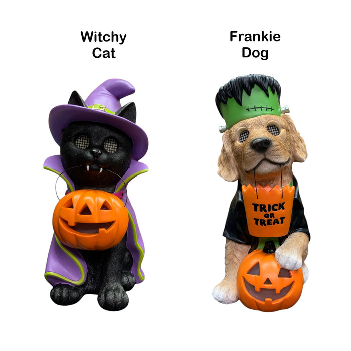 Member's Mark Pre-Lit Halloween Costume Pet Decor with LCD Eyes and LED Pumpkin