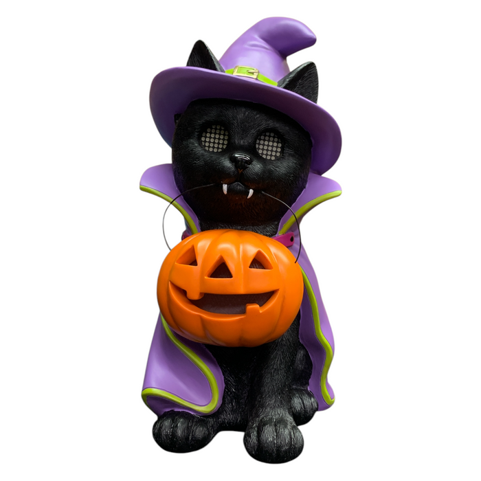 Member's Mark Pre-Lit Halloween Costume Pet Decor with LCD Eyes and LED Pumpkin
