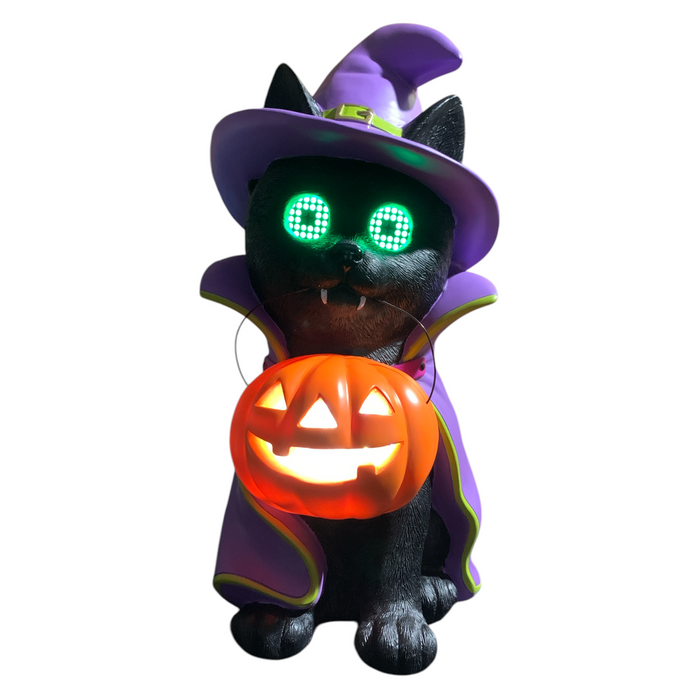 Member's Mark Pre-Lit Halloween Costume Pet Decor with LCD Eyes and LED Pumpkin