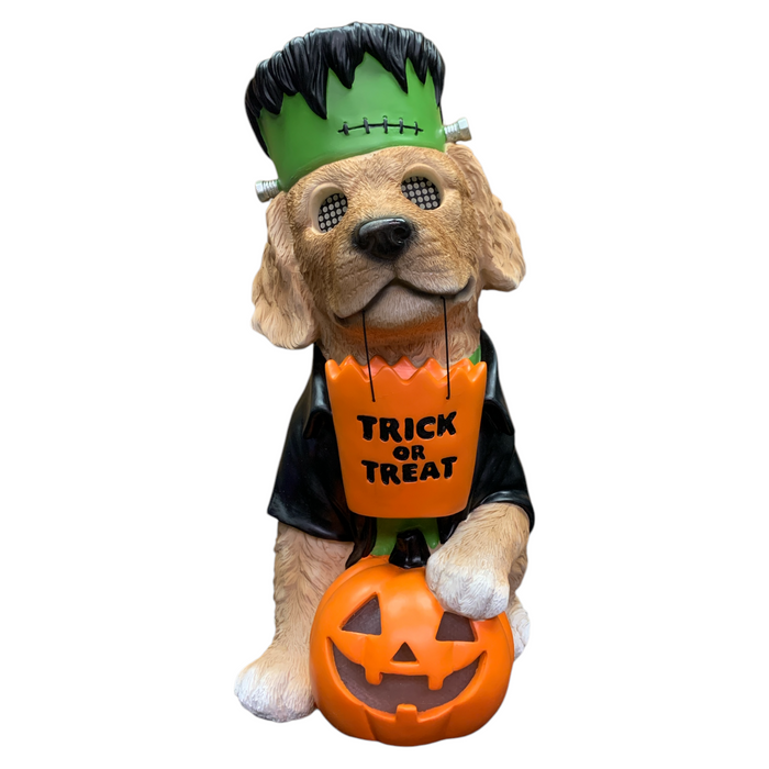 Member's Mark Pre-Lit Halloween Costume Pet Decor with LCD Eyes and LED Pumpkin