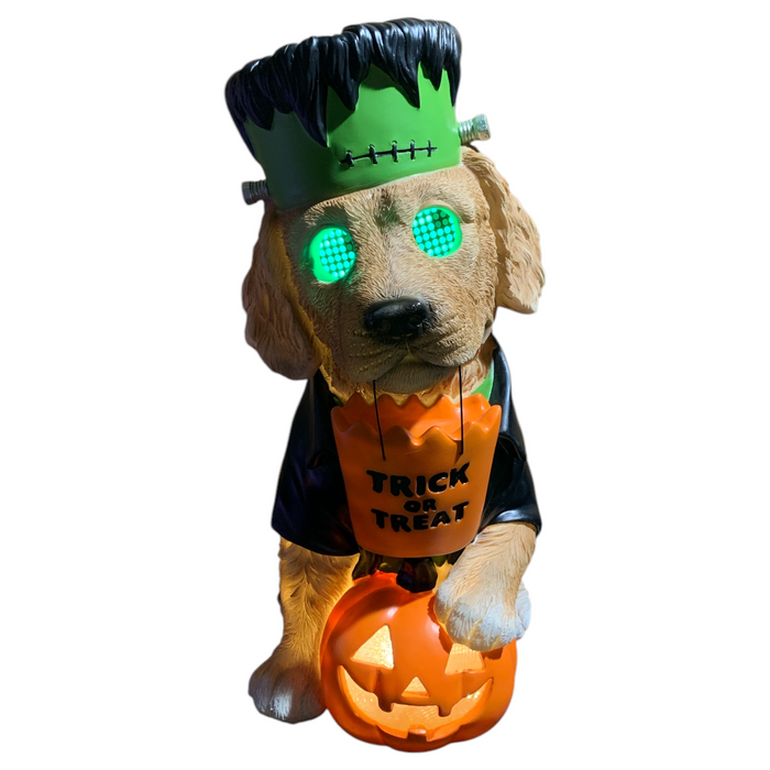 Member's Mark Pre-Lit Halloween Costume Pet Decor with LCD Eyes and LED Pumpkin