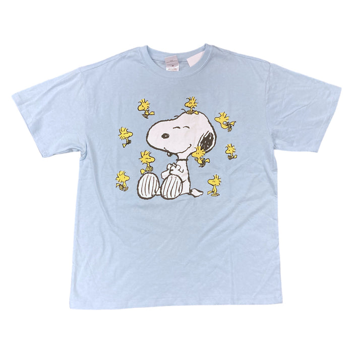 Peanuts Women's Character Soft Short Sleeve Round Neck T-Shirt