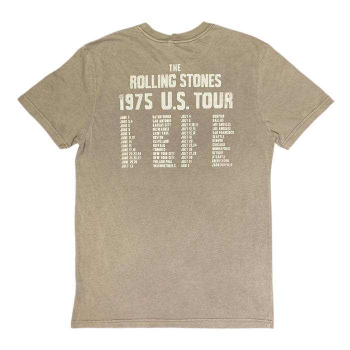 Licensed Men's Relaxed Fit Soft Graphic Band Short Sleeve Tee