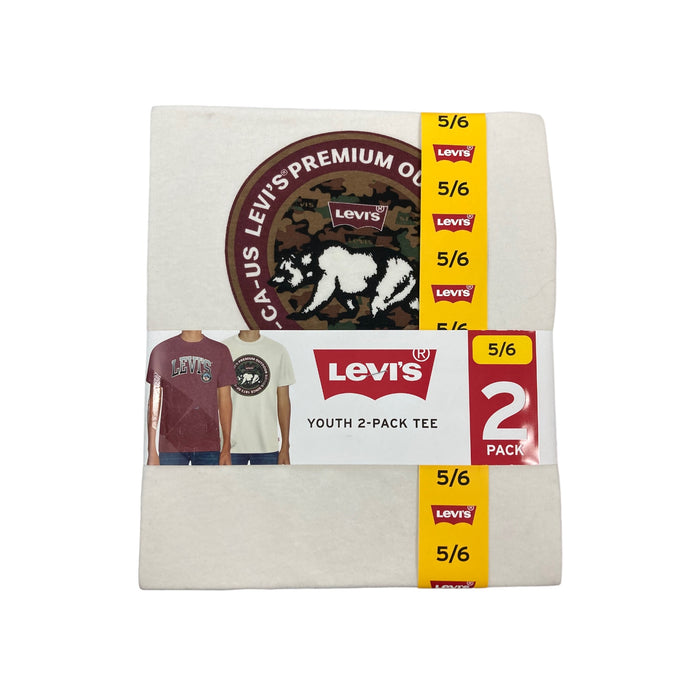 Levi's Boy's Youth 2 Pack Short Sleeve Graphic Logo T-Shirt