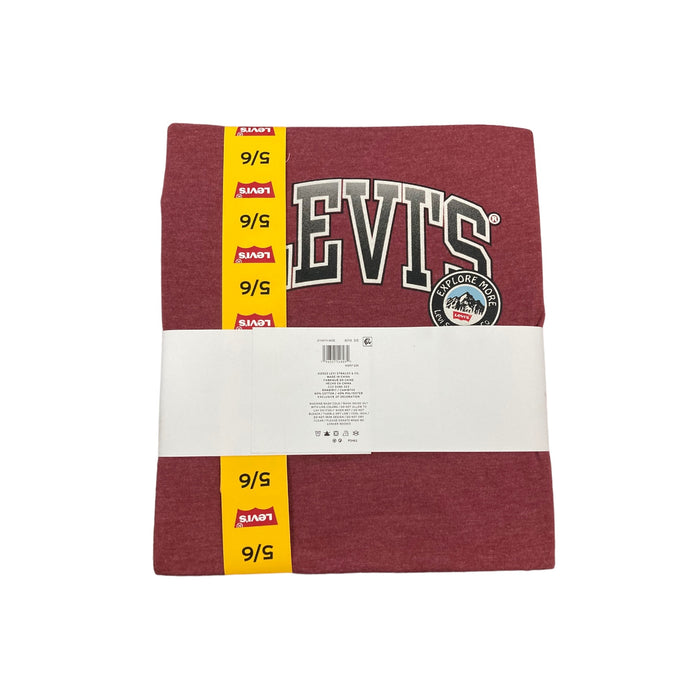 Levi's Boy's Youth 2 Pack Short Sleeve Graphic Logo T-Shirt