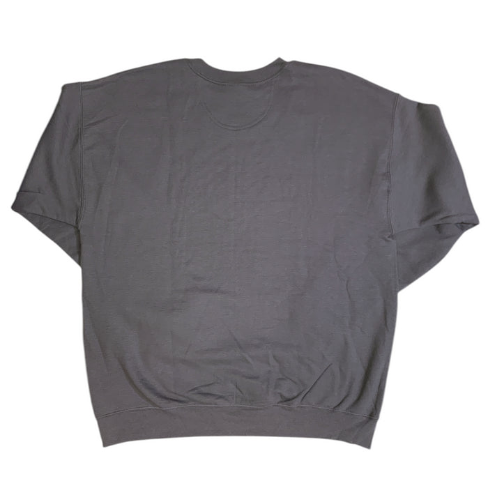 Champion Men's Athleticwear NCAA Crew Neck Fleece Pullover Sweatshirt