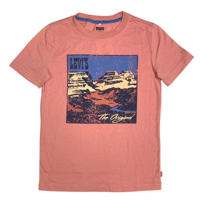 Levi's Boys Short Sleeve Graphic Tee, Relaxed Fit, Soft Knit Fabric, Tagless