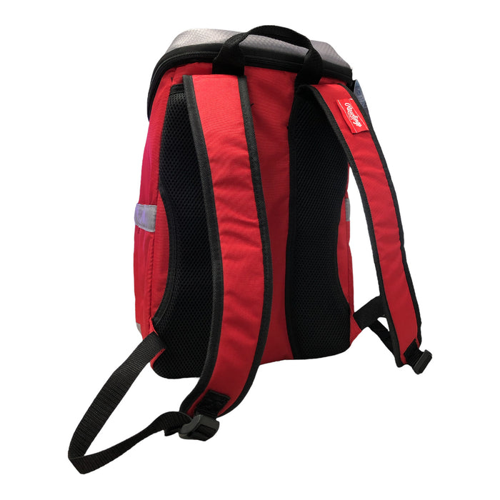 Rawlings NFL Backpack Cooler, Atlanta Falcons