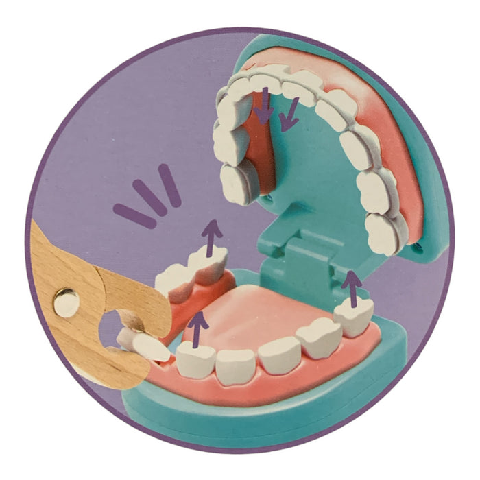 Hape Little Dentist Clinic Set, 39-Piece Educational Pretend Playset