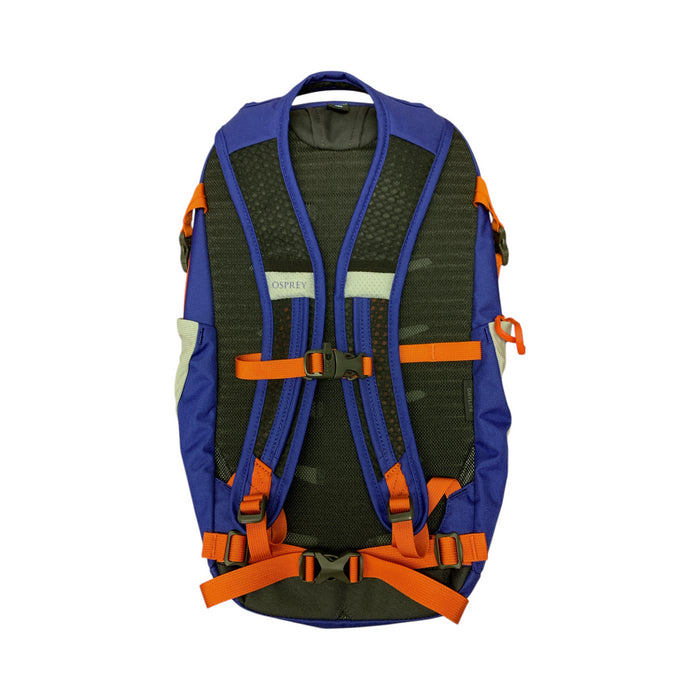 Osprey Daylite Multi-Function Mesh-Covered Commuter Backpack