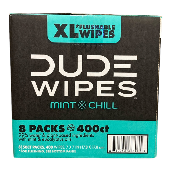 DUDE Wipes Mint Dispenser Pack Club Box Mint Chill (400 Count)