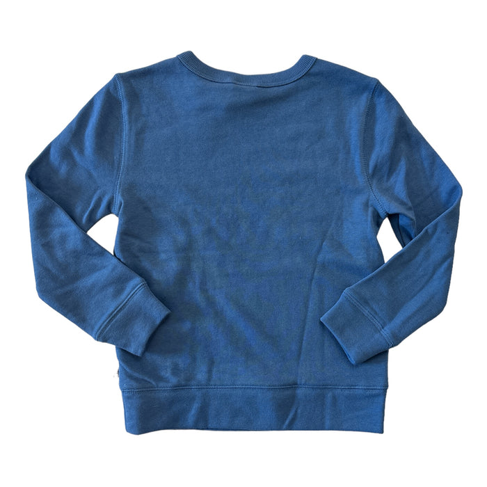 Gap Boy's Terry Lined Graphic Print Crewneck Pullover Sweatshirt