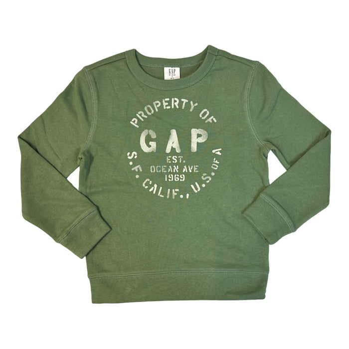 Gap Boy's Terry Lined Graphic Print Crewneck Pullover Sweatshirt