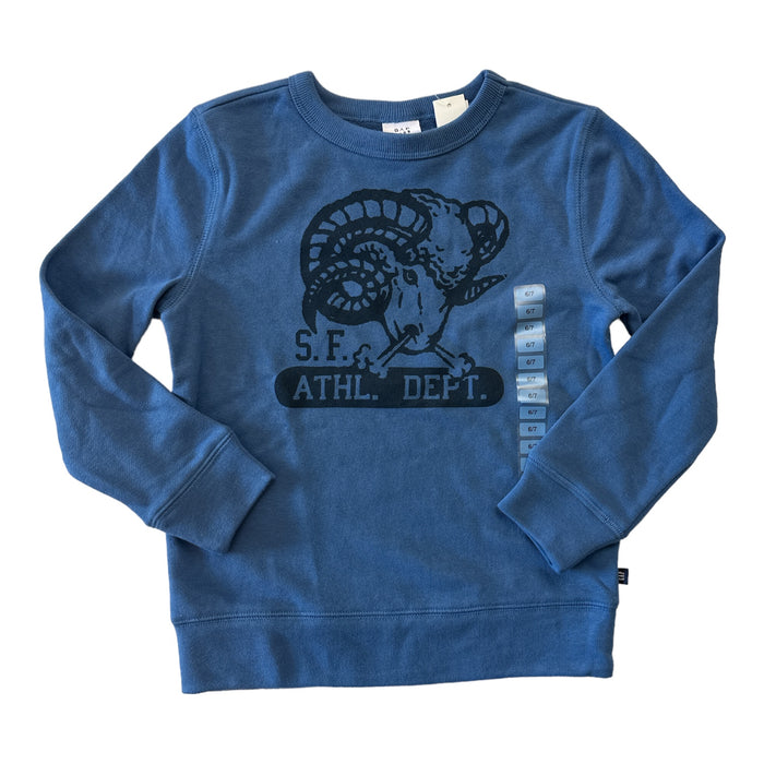 Gap Boy's Terry Lined Graphic Print Crewneck Pullover Sweatshirt