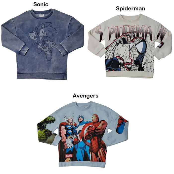 Character Boys Soft Crewneck Graphic Print Sweatshirt