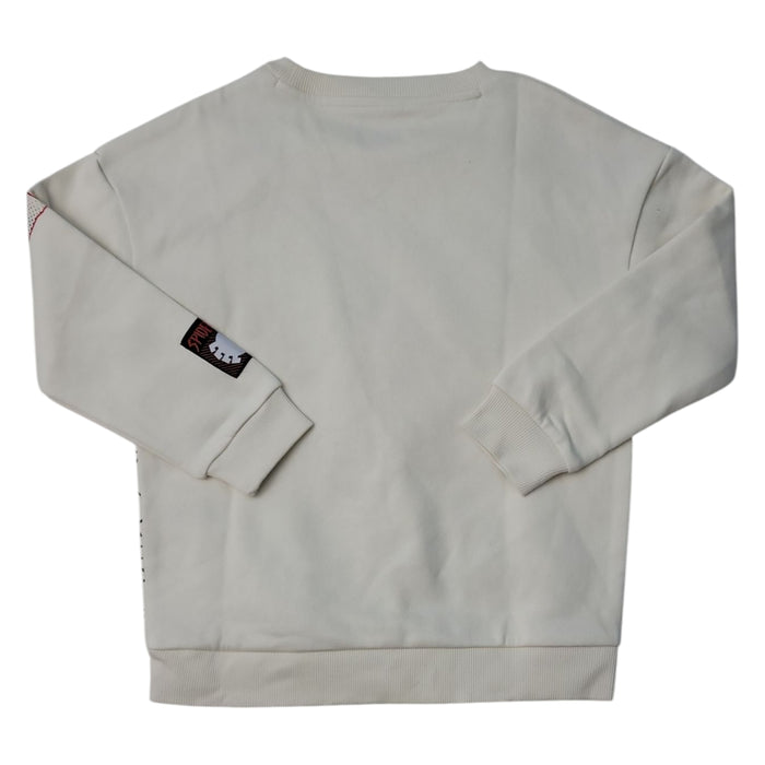 Character Boys Soft Crewneck Graphic Print Sweatshirt