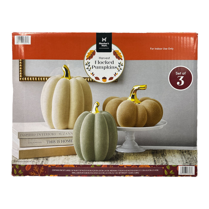 Member's Mark Harvest Flocked Pumpkins Fall Decor, Set of 3, Neutral