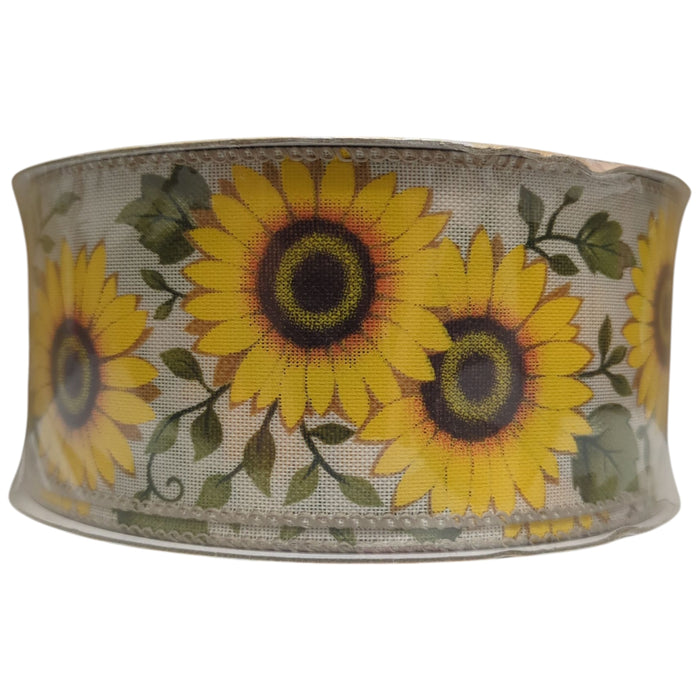 Member's Mark Premium Wired Edge Spring Ribbon, 2.5"x50Yds