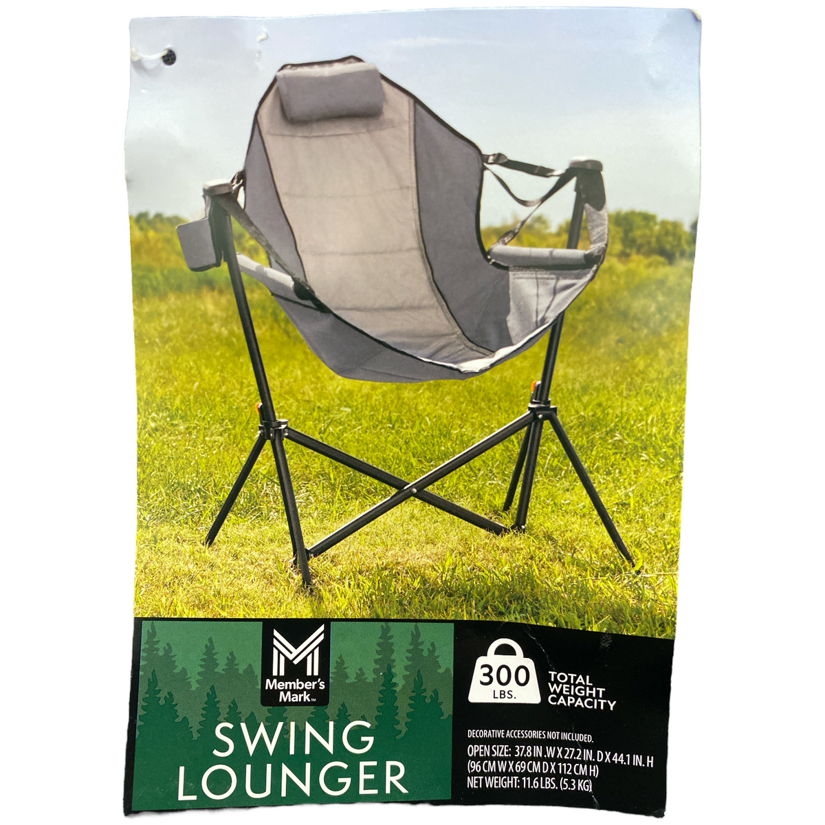 Member S Mark Swing Chair