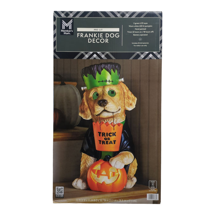 Member's Mark LED Pre-Lit Wonky Eye Pet Character Decor