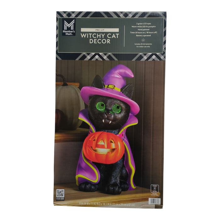 Member's Mark LED Pre-Lit Wonky Eye Pet Character Decor