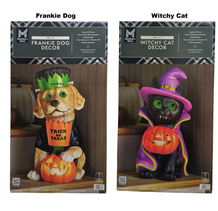 Member's Mark LED Pre-Lit Wonky Eye Pet Character Decor