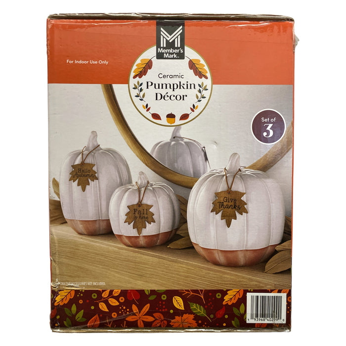 Member's Mark Ceramic Harvest Pumpkin Decor, Set of 3