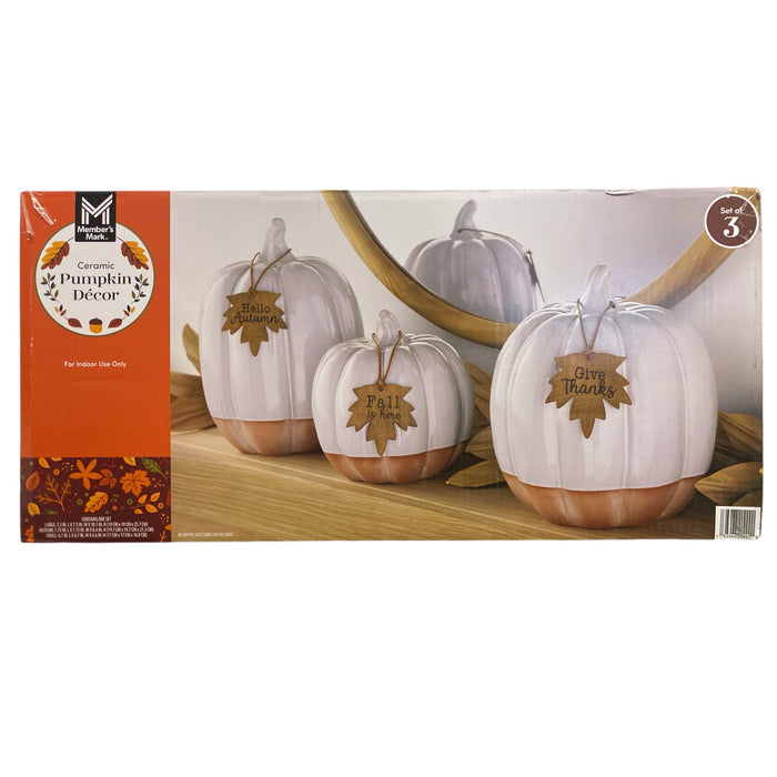 Member's Mark Ceramic Harvest Pumpkin Decor, Set of 3