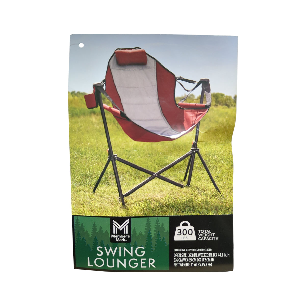 Member S Mark Swing Chair
