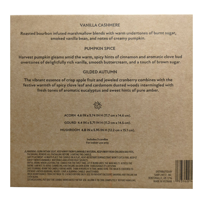 Decorative Ceramic 10 oz. Harvest Candles, Acorn/Gourd/Mushroom, 3pk