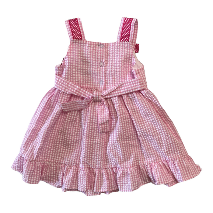 Counting Daisies Girl's All Occasion Seersucker Knee-Length Dress