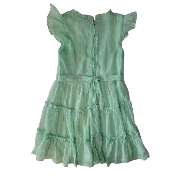 Rare Editions Girls Chiffon Ruffled Sleeve Lined Skirt Dress