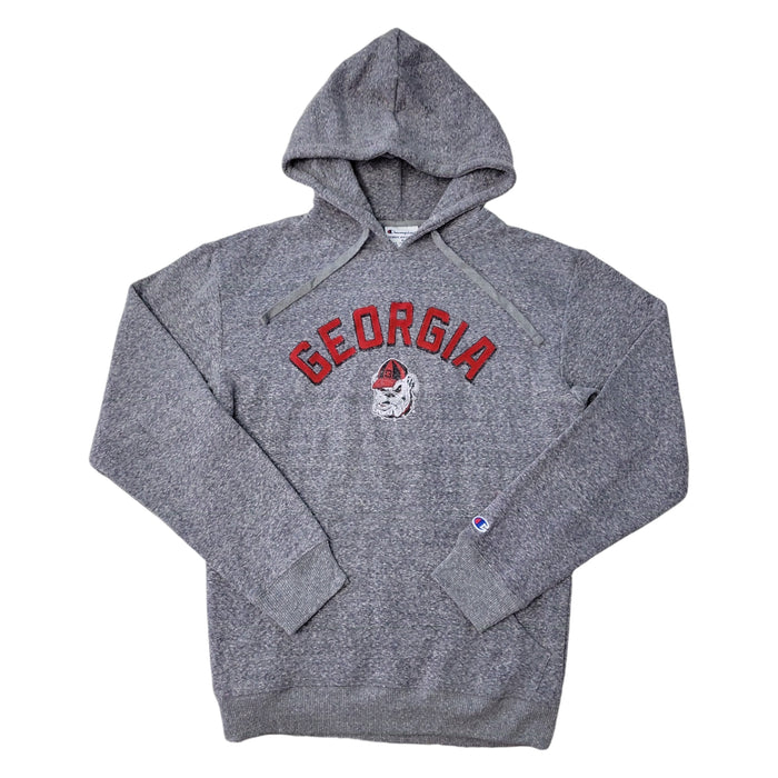 Champion Men's NCAA Graphic Print Fleece Lined Hoodie