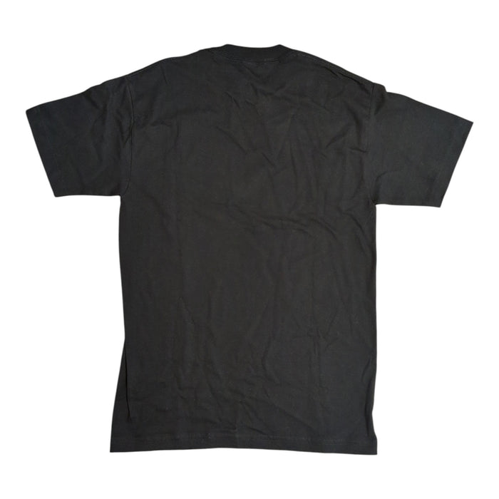 Champion NCAA Men's 100% Cotton Comfort Graphic Print T-Shirt