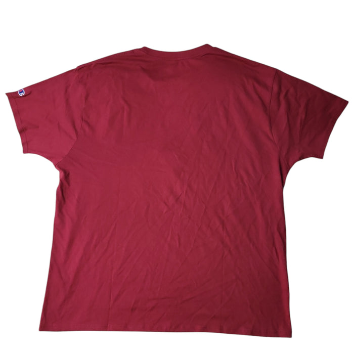 Champion Men's NCAA Short Sleeve Embroidered Crew Neck Tee