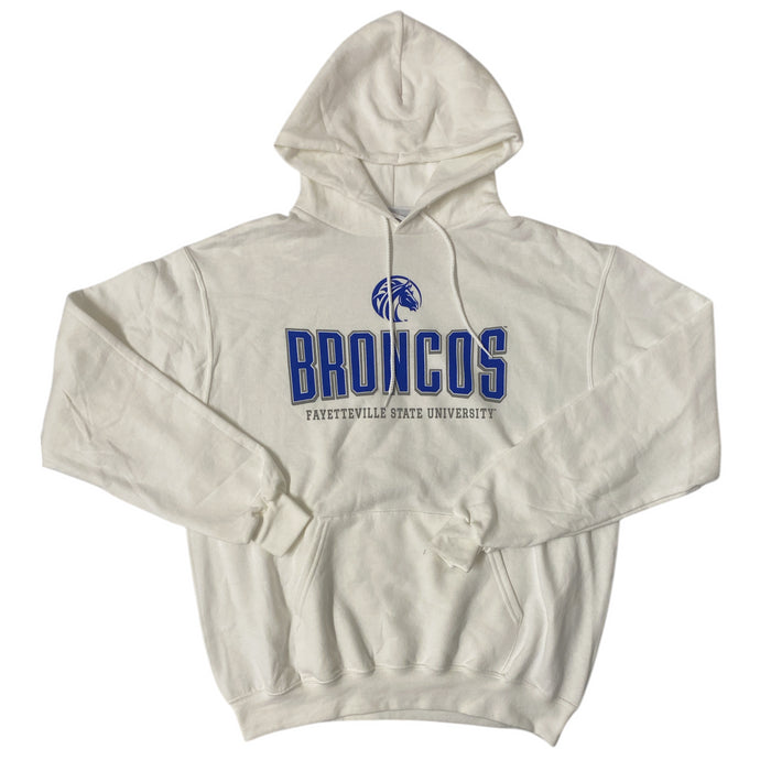 Champion Men's Officially Licensed NCAA Men's Hoodie Sweatshirt