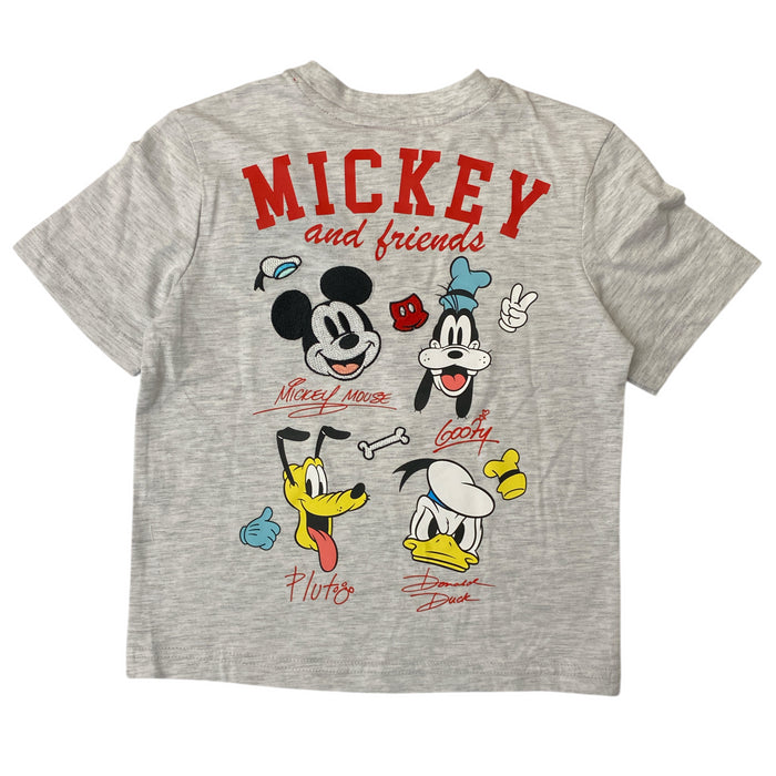 Disney Adult Regular Fit Crewneck Soft Lightweight Short Sleeve T-Shirt