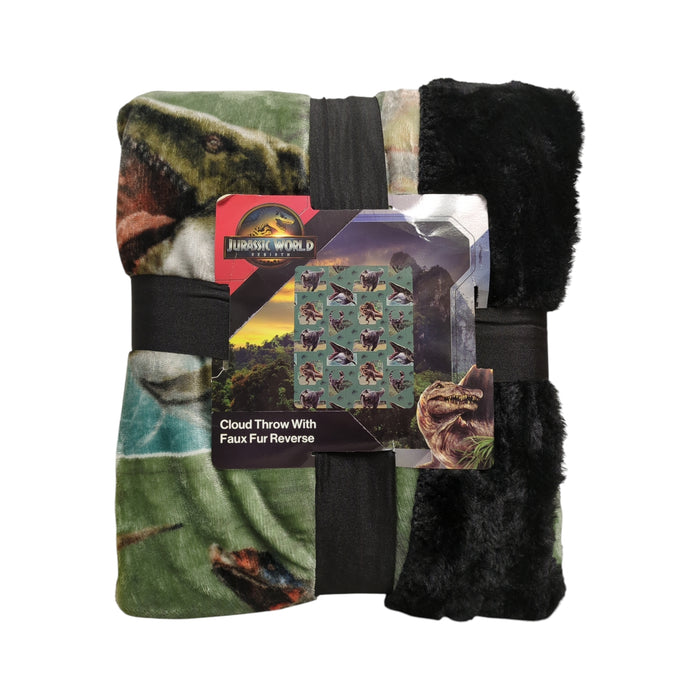 Northwest Licensed Character Plush Faux Fur Kids Throw Blanket, 50" x 60"