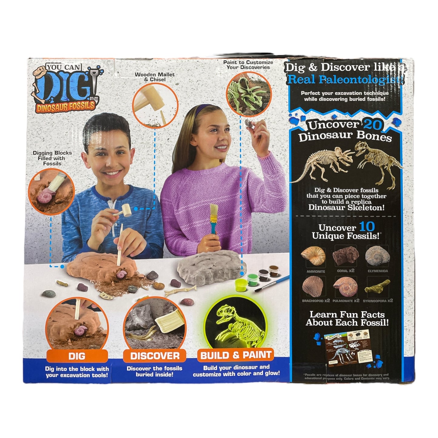 Epic Lab Dig Dinosaur Fossils Activity Kit, 2 Skeletons, Paint & Tools ...