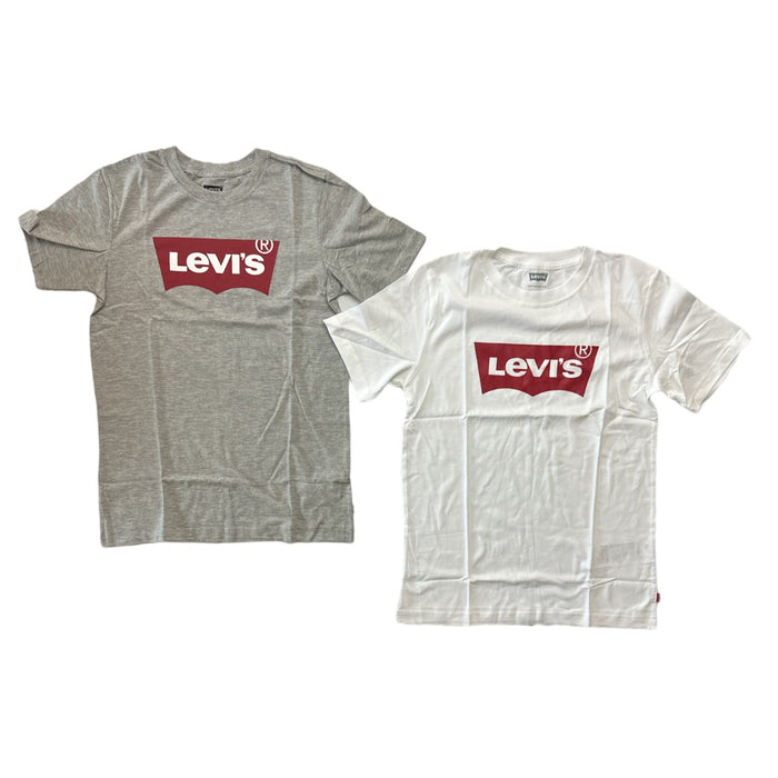 Levi's Boy's 2-Pack Graphic Brand Print Short Sleeve Crewneck T-Shirts