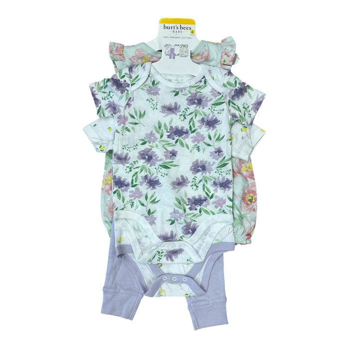 Burt's Bees Baby Toddler Girl Organic Cotton 4 Piece Playwear Set