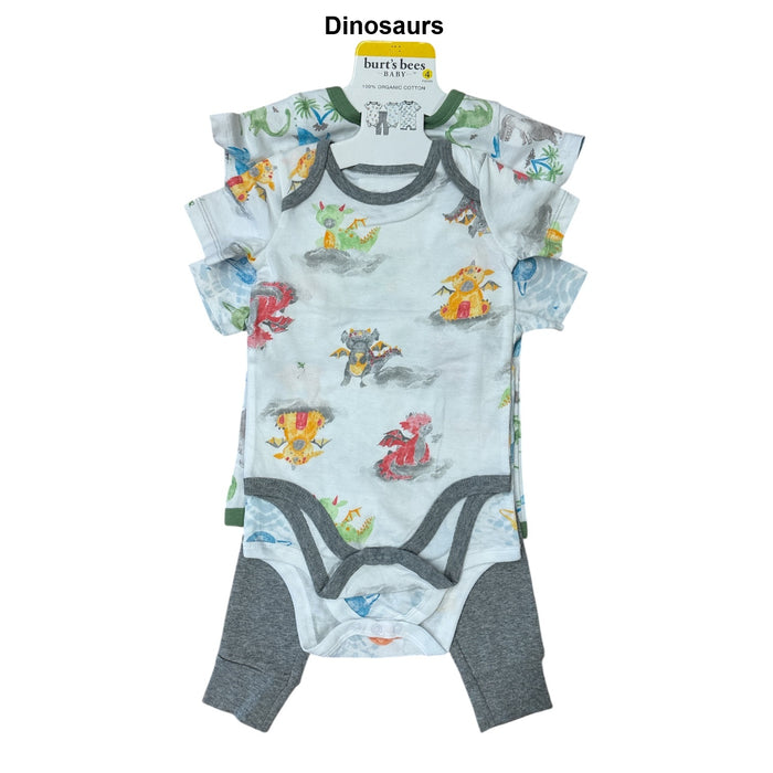 Burt's Bees Baby Toddler Boy Organic Cotton 4 Piece Playwear Set