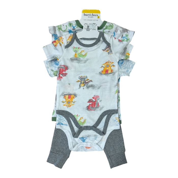 Burt's Bees Baby Toddler Boy Organic Cotton 4 Piece Playwear Set