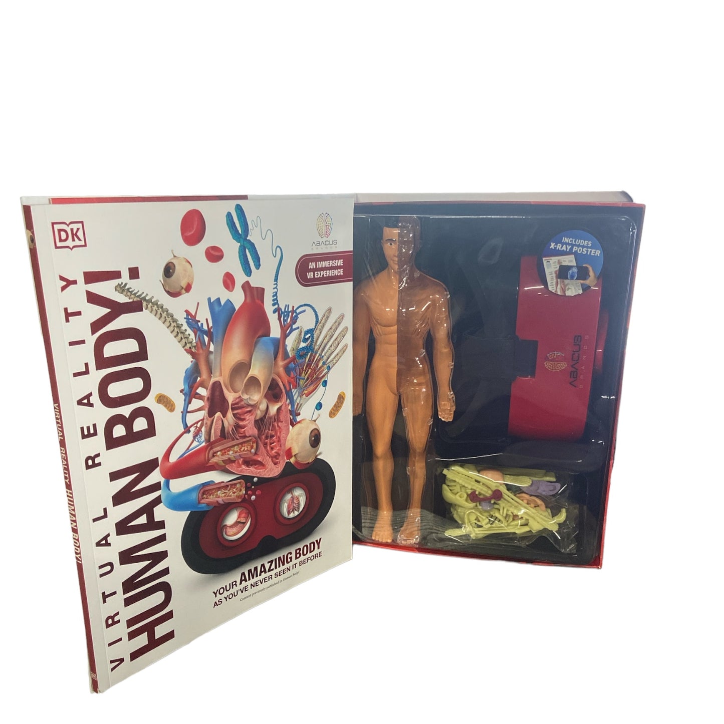 Abacus Brands Human Body, Illustrated Interactive VR Book, STEM Learni